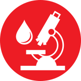Lubricant Analysis